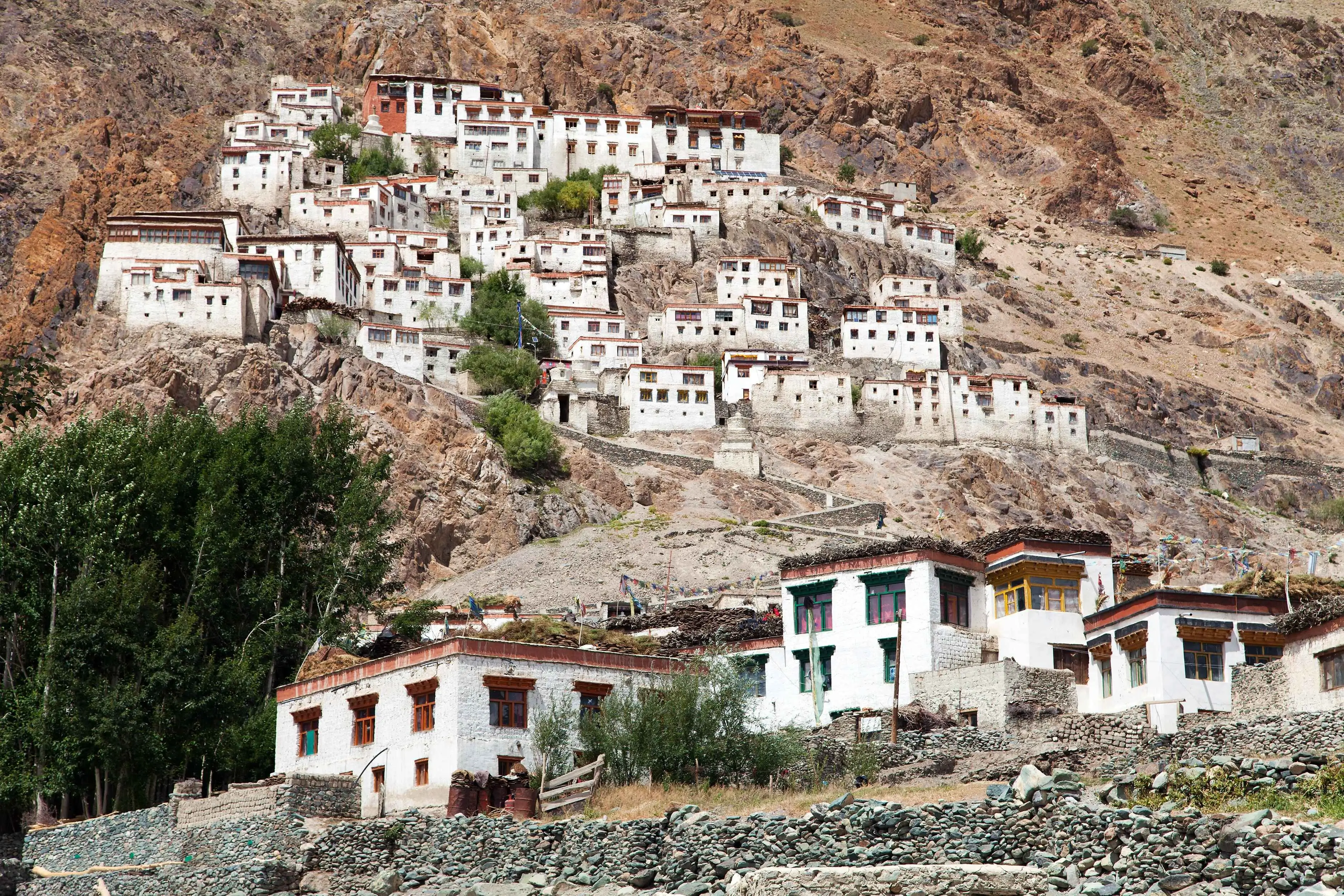 Ladakh Monastries Tour
