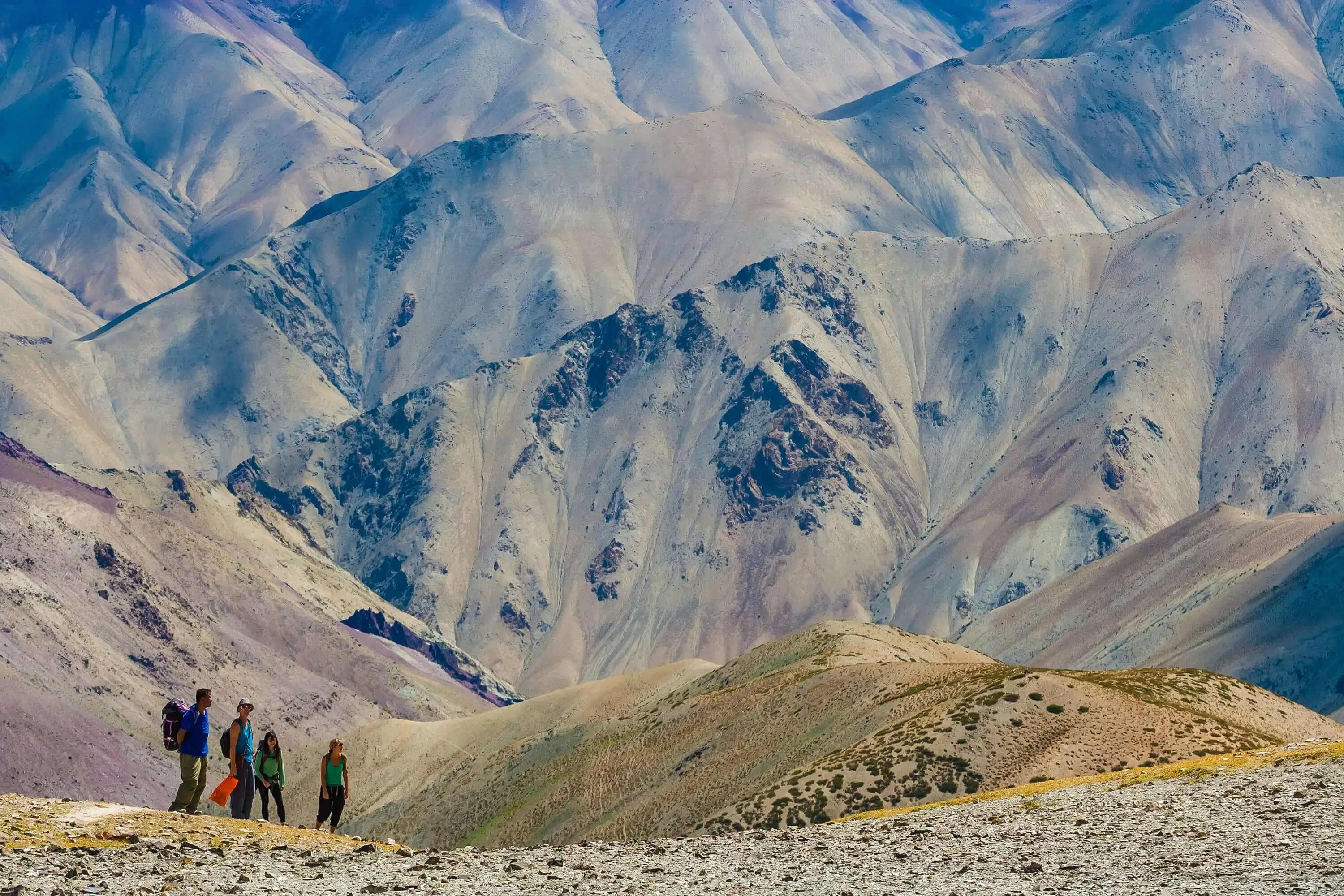 Ladakh Heights